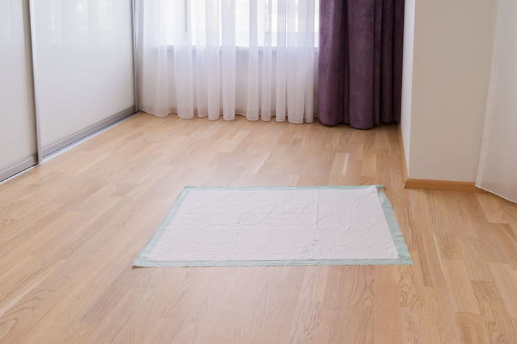 パグのトイレトレーニングの注意点①【トイレの場所と大きさ】