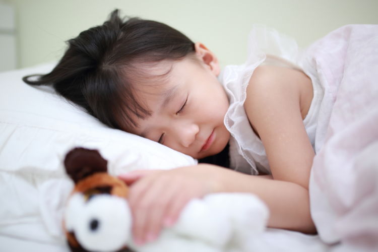 忘れないで「子どものペットロス」「同居ペットの仲間ロス」