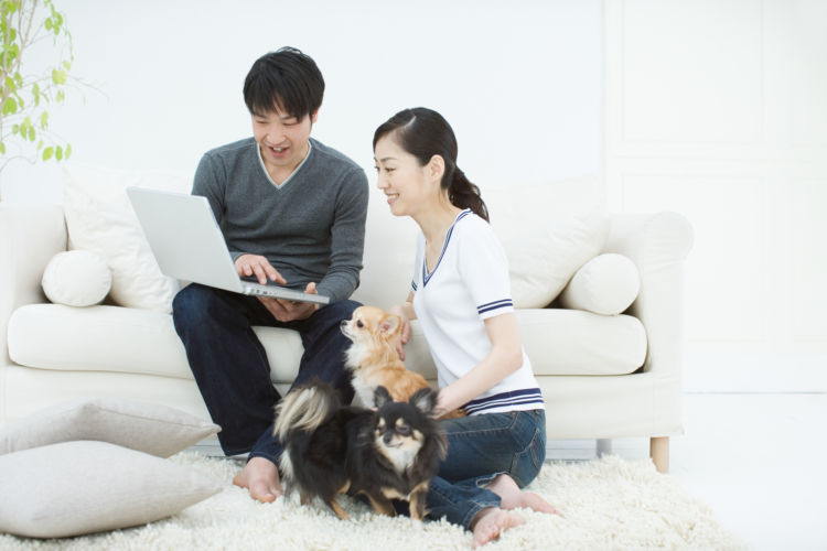 老犬の認知症 「予防」③【心構え】