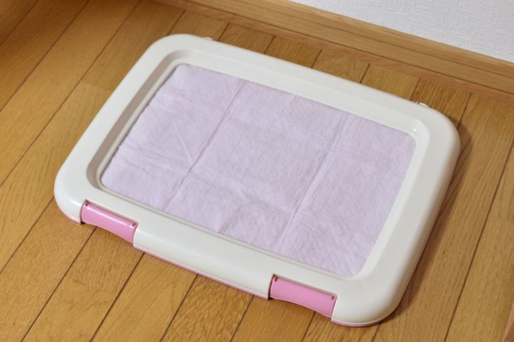 トイレトレーニングの注意点①【トイレの場所と大きさ】