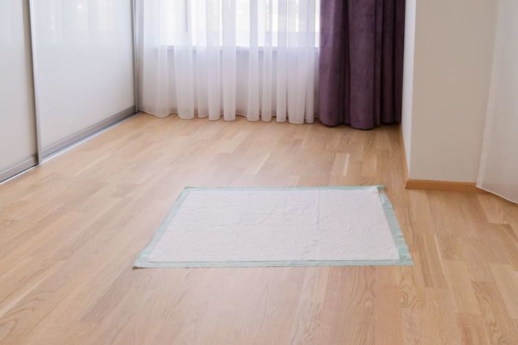トイレトレーニングの注意点①【トイレの場所と大きさ】