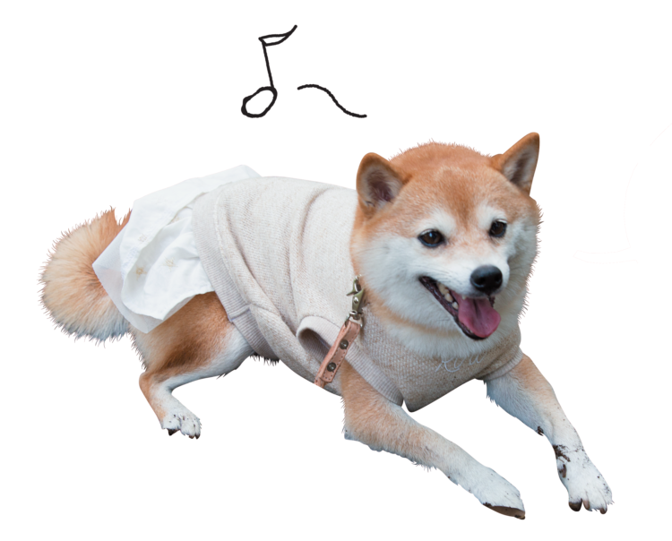 犬たちのホンネ1