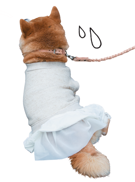 犬たちのホンネ2