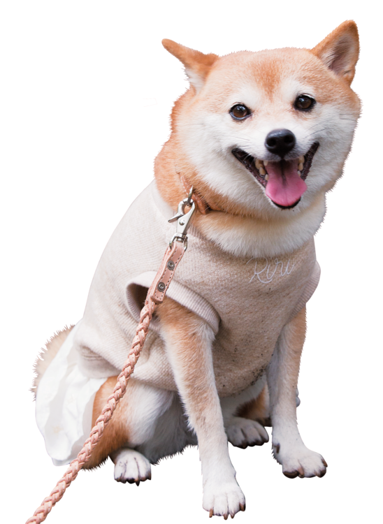 犬たちのホンネ3