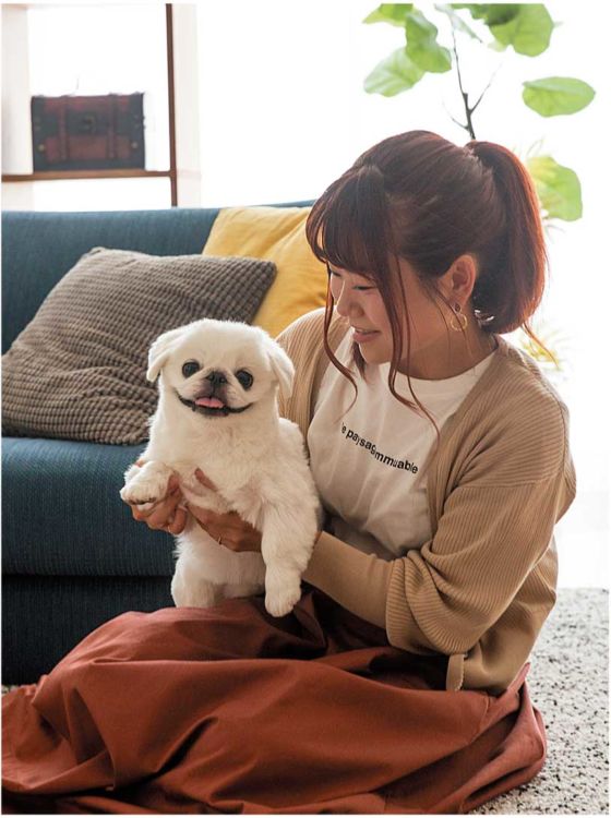 飼い主のキモチ4