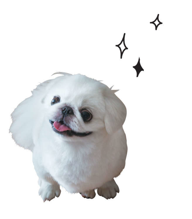 犬たちのホンネ4