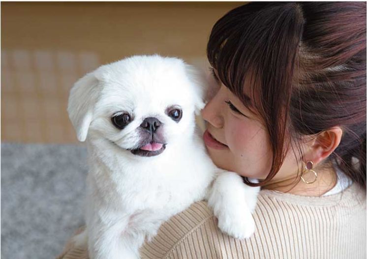 甘えん坊のミルキーといつも一緒に過ごしてます!