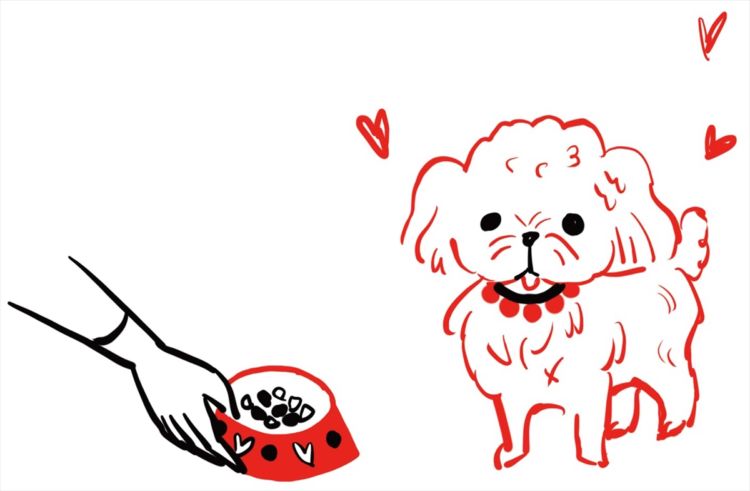 犬にはダイエットなんて関係ないもんね~♪