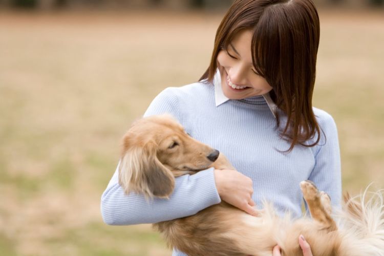 老犬介護 ペットシッター