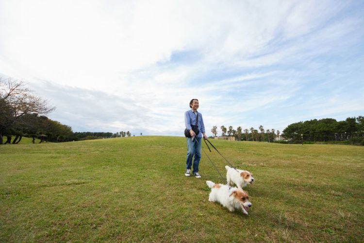 愛犬 散歩 飼い主