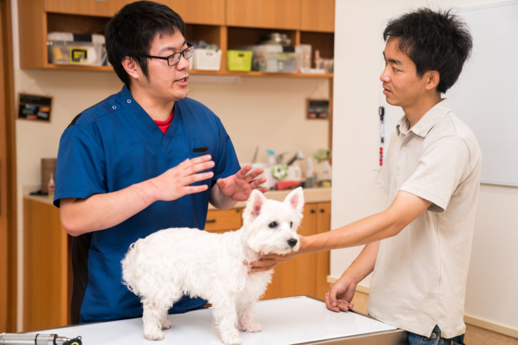 注意点・予防対策④「緊急時に備えておく」