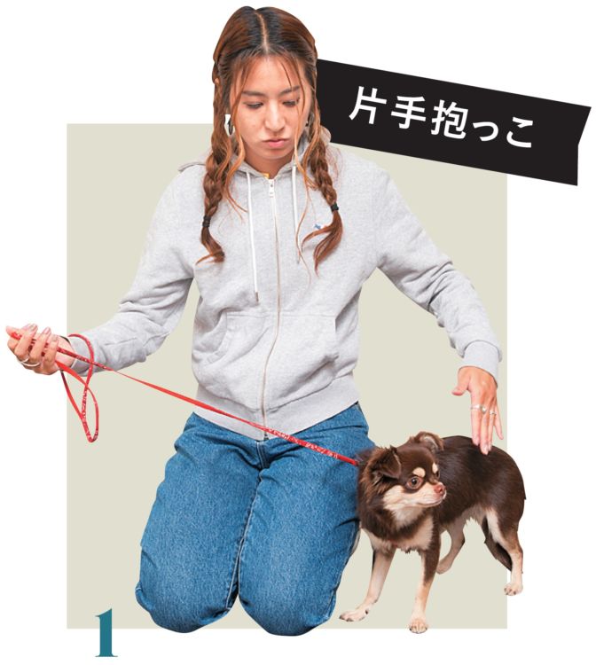 リードをしっかり持ち、愛犬の真横にしゃがみ、逆の手を、愛犬の体の真横からおなかへ向けて通します