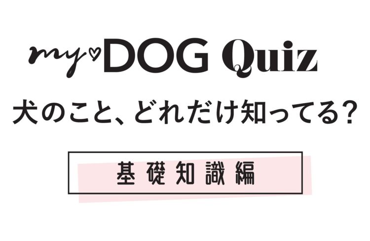 【my♡DOG Quiz 犬のこと、どれだけ知ってる?】基礎知識編