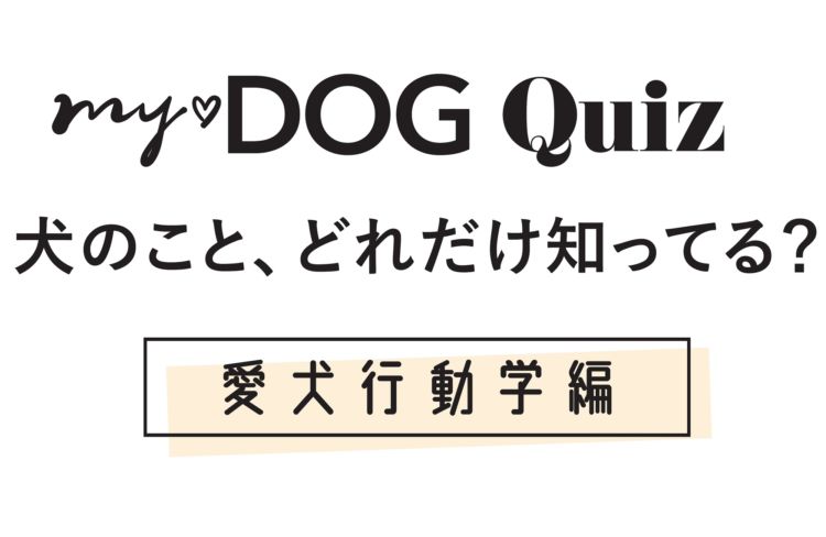 【my♡DOG Quiz 犬のこと、どれだけ知ってる?】愛犬行動学編