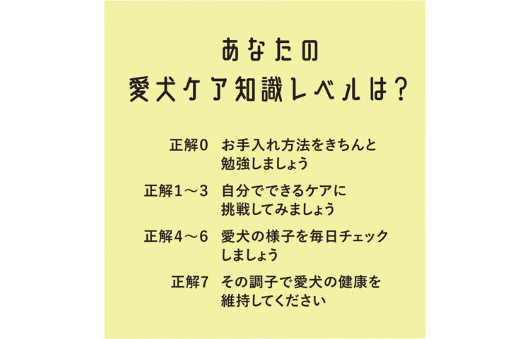 あなたの愛犬ケア知識レベルは?