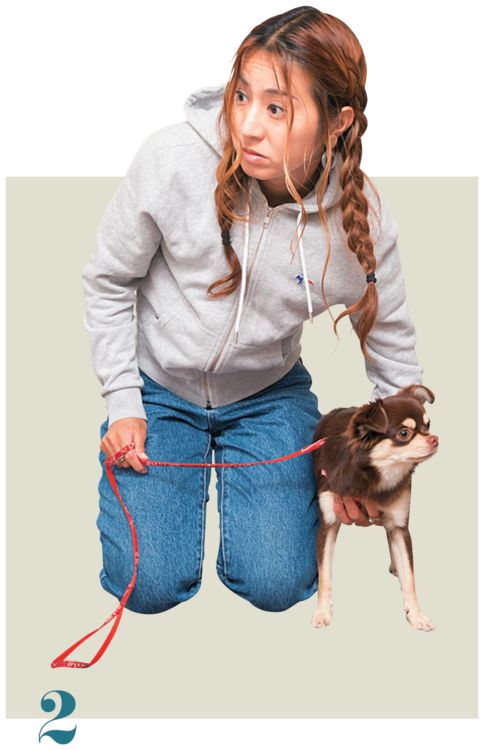 通した手の指先を愛犬の胸に添え、上腕を体に寄せます。愛犬の胸の広さによって、添わせる指の本数を変えましょう