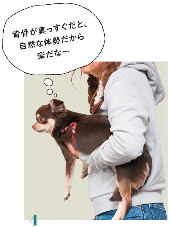 腹や腰に寄せて固定します