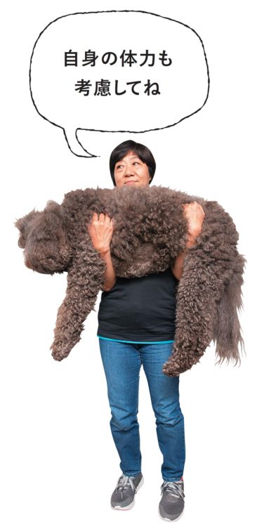体重がある犬種もいます