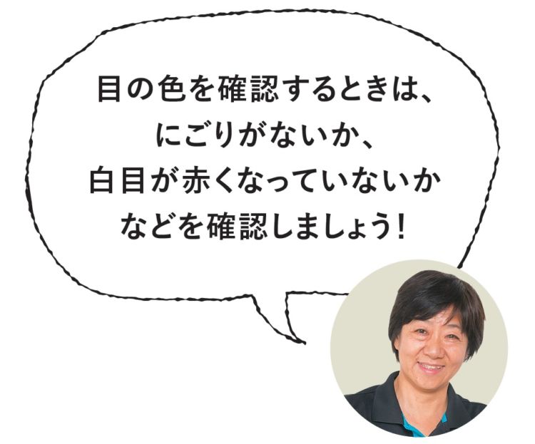 自分で取ろうとしないで獣医師に診せに行きましょう