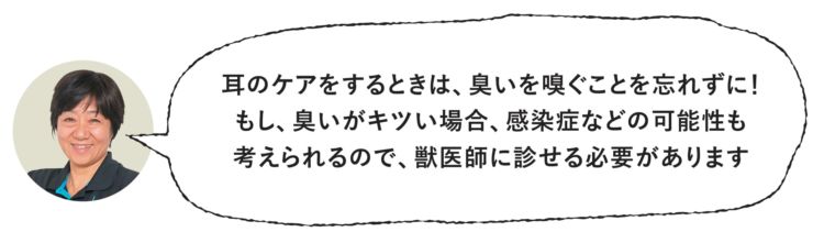 特に注意しましょう