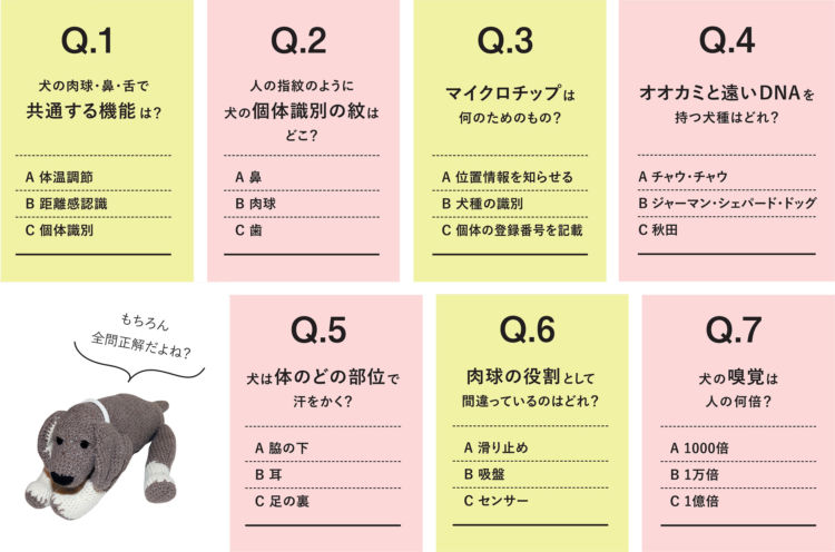 【my♡DOG Quiz 犬のこと、どれだけ知ってる?】基礎知識編