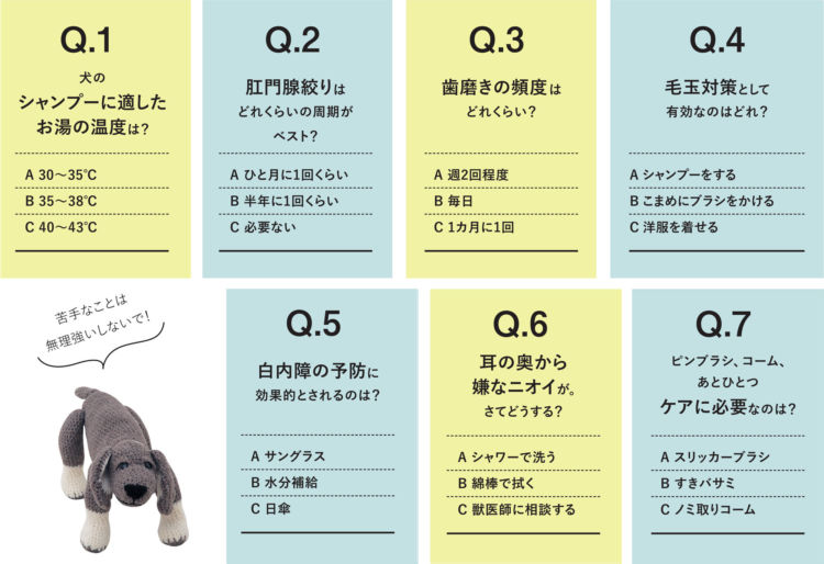 【my♡DOG Quiz 犬のこと、どれだけ知ってる?】愛犬ケア編