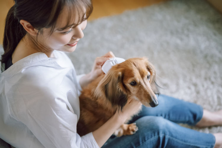 【ポイントは、骨格を意識すること!】愛犬が怖がらない抱っこにチャレンジ!