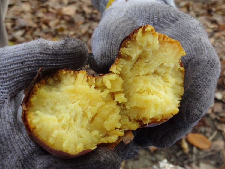 焼き芋の注意点①【火傷(やけど)】