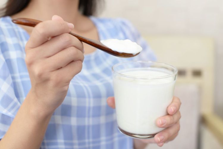 乳酸菌 ヨーグルト