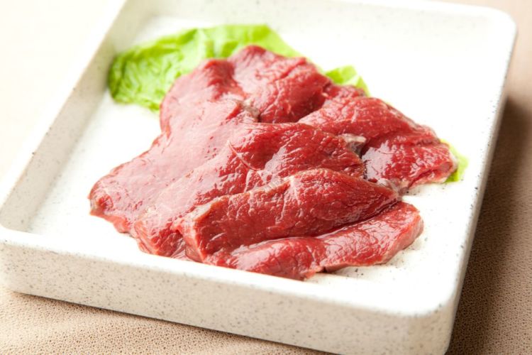 犬に生の【鹿肉】を食べさせても大丈夫?