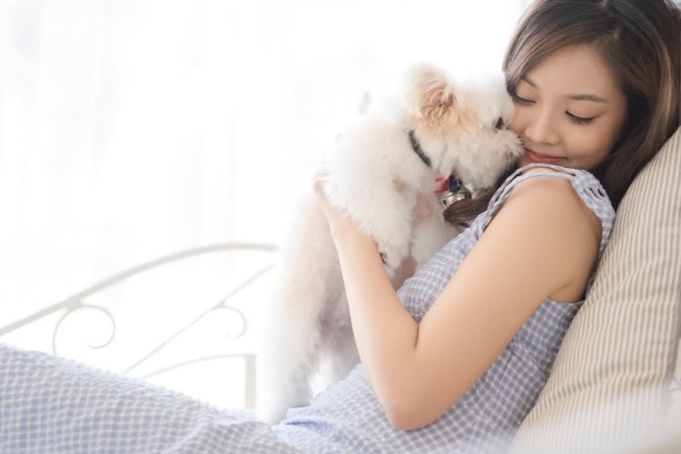 犬 飼い主