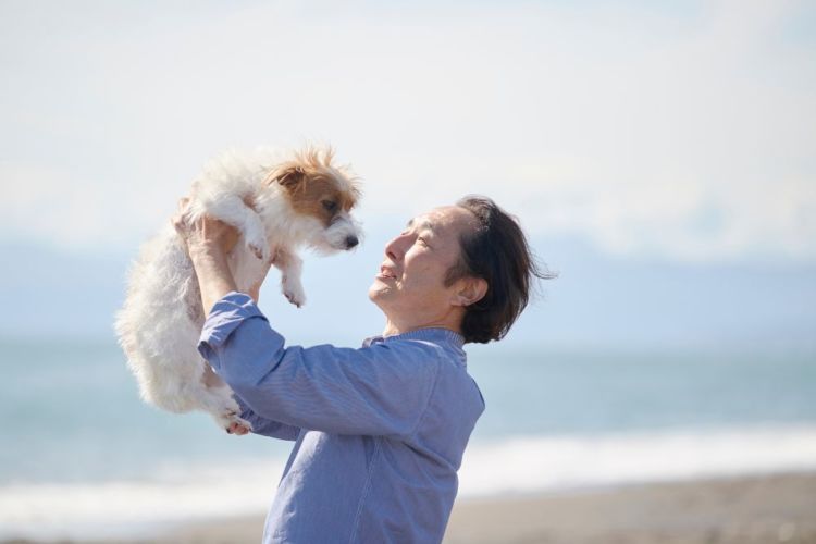 老犬 シニア犬 高齢
