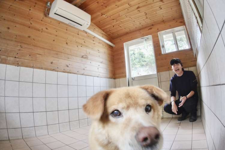 犬舎内にはエアコンが完備されています。