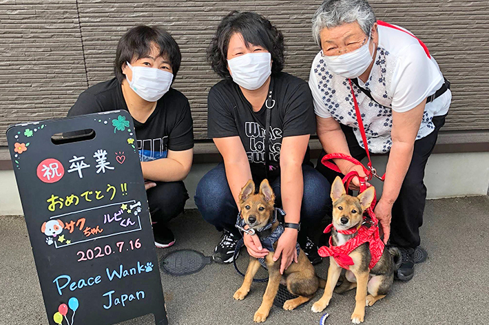 ワンコたちは譲渡会に参加し、新しい家族に出会います