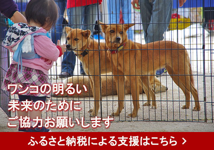ふるさと納税による支援はこちら