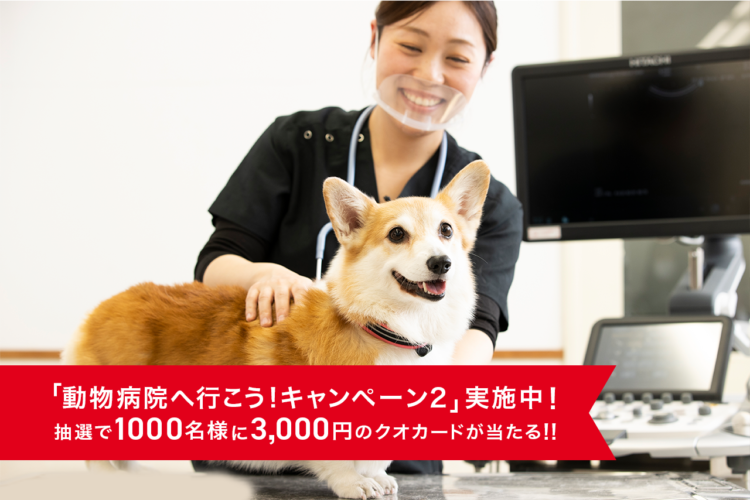 【PECO編集部が密着!】 これで「ペットの健康診断」がぜ〜んぶわかります!
