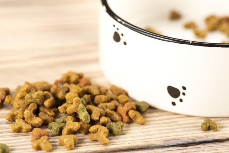 犬に炭水化物は必要?