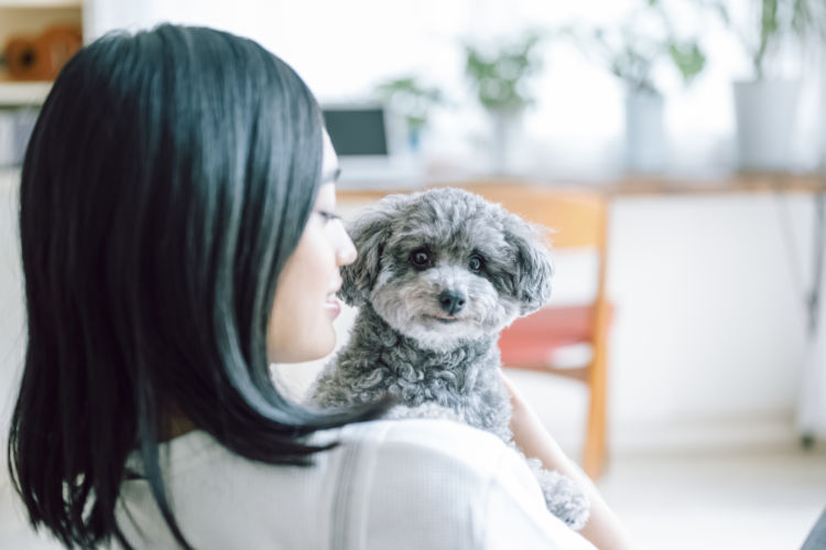 犬に与える「餅(もち)」のまとめ