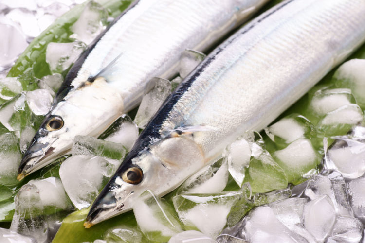 おすすめの食材やおやつ【魚類(EPA・DHA)】