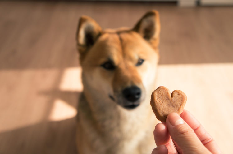 おすすめの食材やおやつ【穀物アレルギーの場合は?】