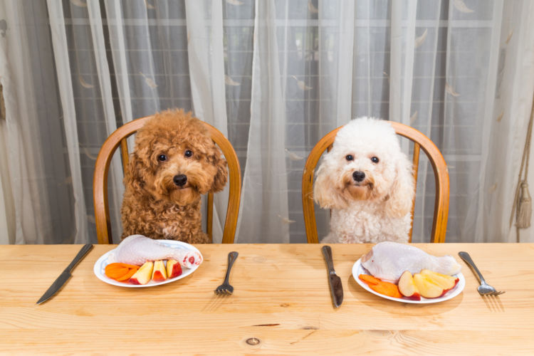 犬にカルシウムを与える場合の注意点(手作り・サプリ)!