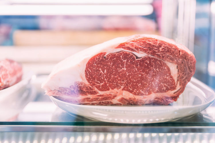 肉 犬 手作りごはん