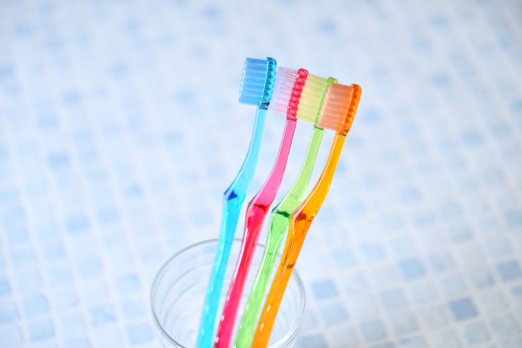 ビーグルが気をつける歯のトラブルや病気(歯周病)は?