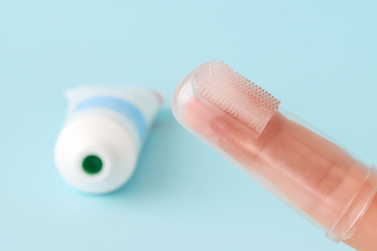 歯磨きの仕方【ステップ④】