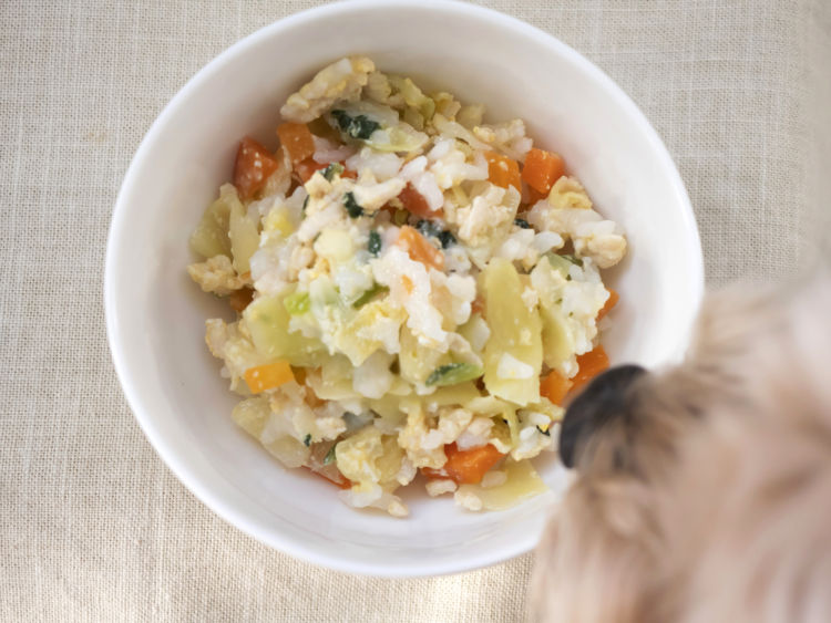 アレルギーのある犬の食事(手作り)は?
