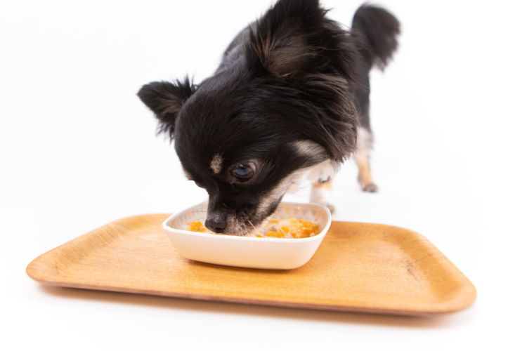 犬にかまぼこを与える際の【許容量】は?