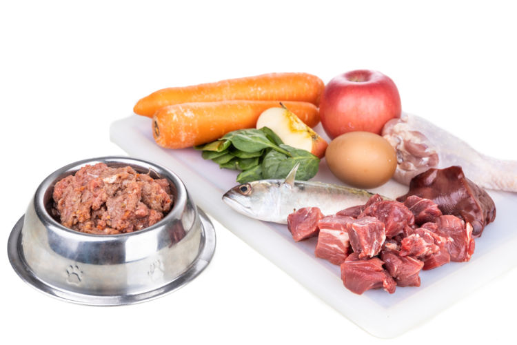 犬にビタミンを与える際のおすすめの食材(野菜)やおやつは?