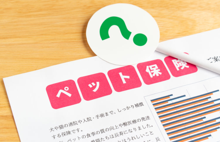 犬の埋伏歯【ペット保険の適用は?】