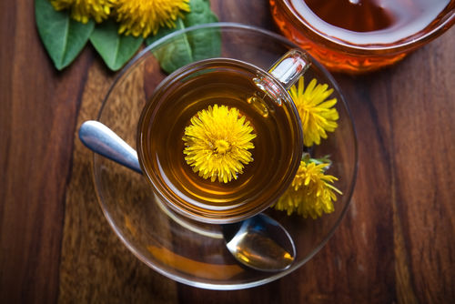 犬に与えても良いお茶「タンポポ茶」「そば茶」など