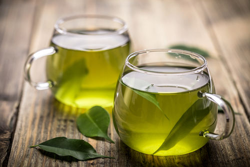 犬に与えると危険なお茶「緑茶」「紅茶」など